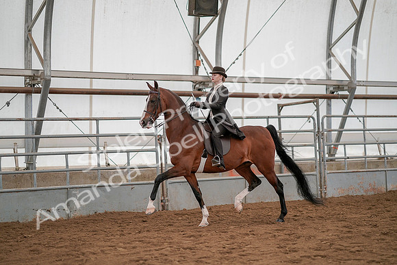 July 19, 2019 - 4219