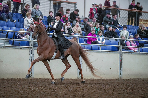Spring Fling - Saturday - April 20, 2019  -  00462