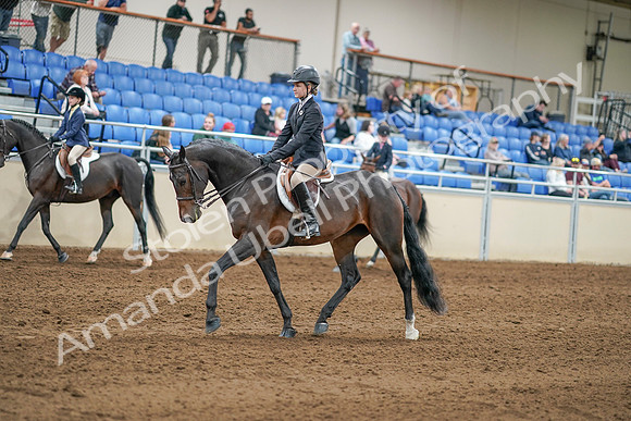 2020 - AB Morgan Horse - Sat, Sept 05 - 10600