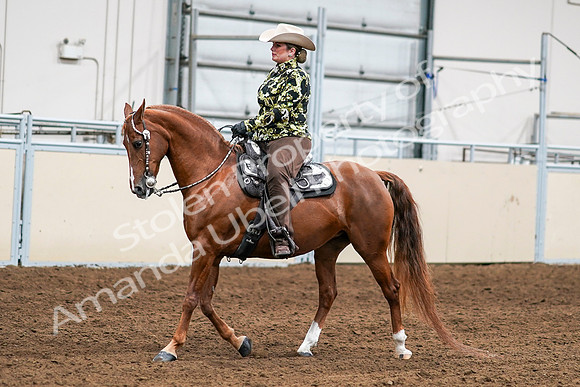 2020 - AB Morgan Horse - Sat, Sept 05 - 08989