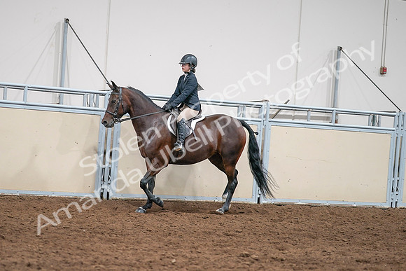 2020 - AB Morgan Horse - Sat, Sept 05 - 04968