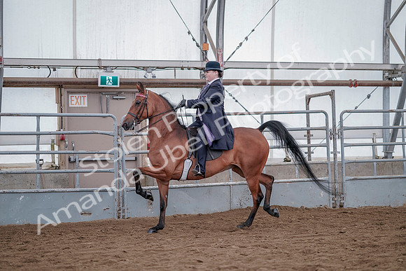 July 20, 2019 - 13765