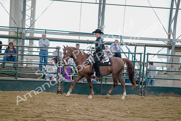 July 21, 2019 - 09037