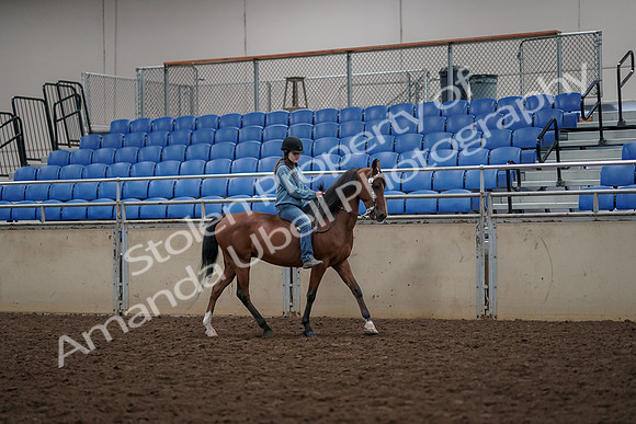 2019 Morgan Horse Show - Aug 30, 2019 - 31335