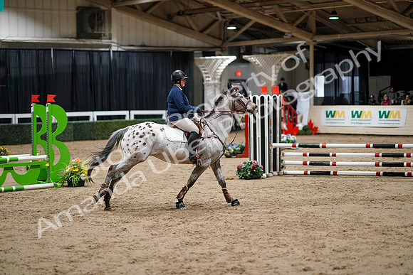 2020 - Spruce Meadows - FCII - Fri, Feb 21 - 03109