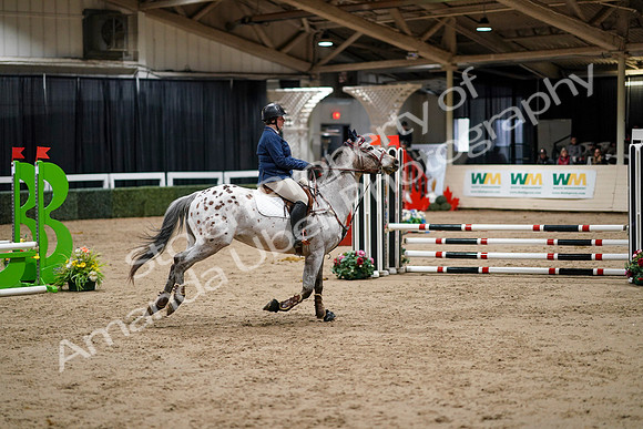 2020 - Spruce Meadows - FCII - Fri, Feb 21 - 03110