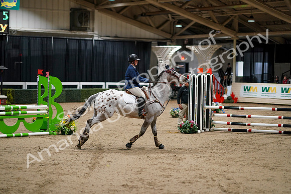 2020 - Spruce Meadows - FCII - Fri, Feb 21 - 04261