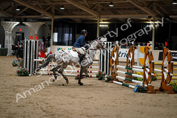 2020 - Spruce Meadows - FCII - Fri, Feb 21 - 04267