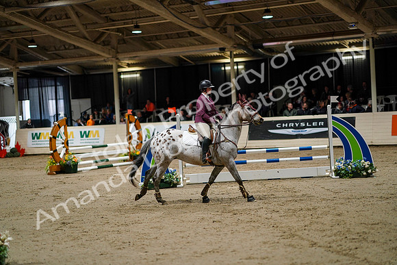 2020 - Spruce Meadows - FCII - Sat, Feb 22 - 02433