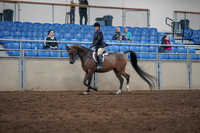 2019 Morgan Horse Show - Sept 01, 2019 - 08507