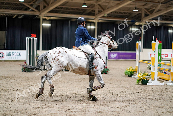 2020 - Spruce Meadows - FCII - Sun, Feb 23 - 05582
