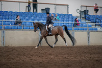 2019 Morgan Horse Show - Sept 01, 2019 - 08505