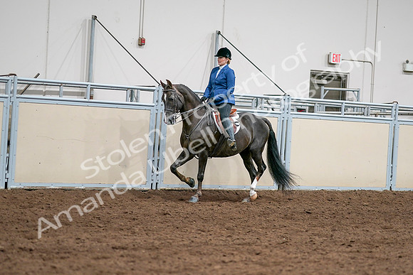 2020 - AB Morgan Horse - Sat, Sept 05 - 04987