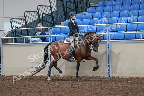 2020 - AB Morgan Horse - Fri, Sept 04 - 06107