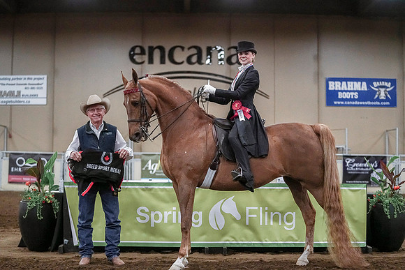Spring Fling - Saturday - April 20, 2019  -  04439
