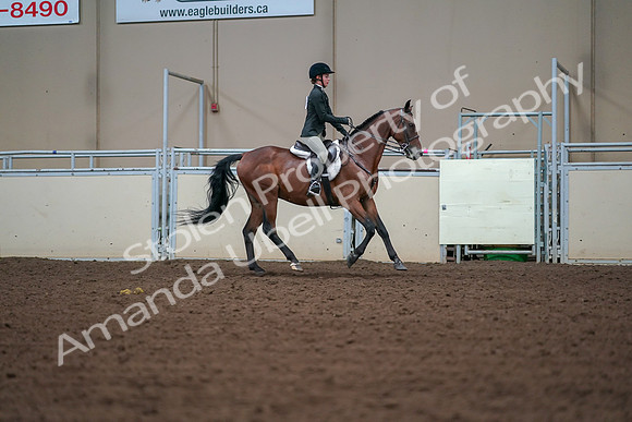 2019 Morgan Horse Show - Aug 30, 2019 - 21036