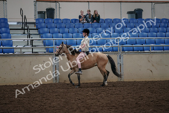 2019 Morgan Horse Show - Aug 30, 2019 - 31067