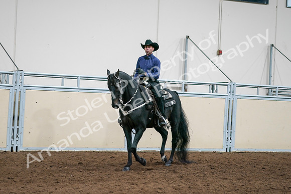 2020 - AB Morgan Horse - Sun, Sept 06 - 07590