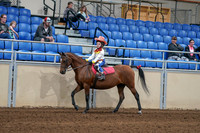 2020 - AB Morgan Horse - Sat, Sept 05 - 05774