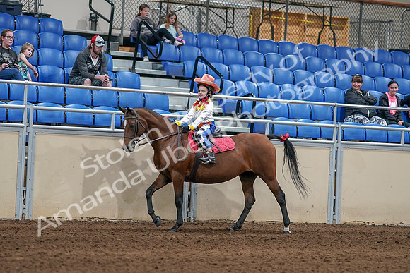 2020 - AB Morgan Horse - Sat, Sept 05 - 05774
