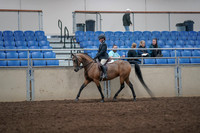 2019 Morgan Horse Show - Aug 31, 2019 - 08053