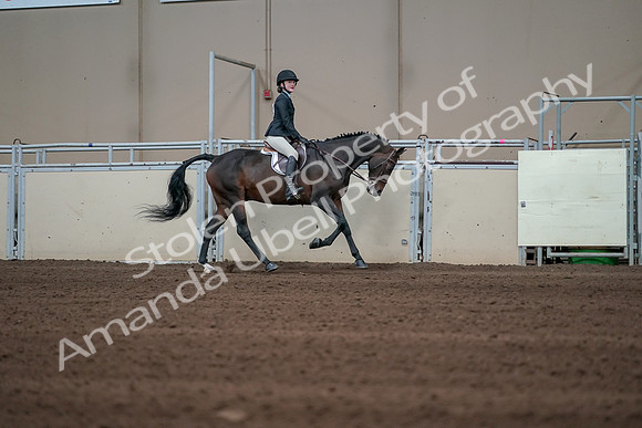 2019 Morgan Horse Show - Sept 01, 2019 - 03905