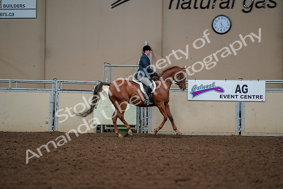 2019 Morgan Horse Show - Aug 30, 2019 - 22480