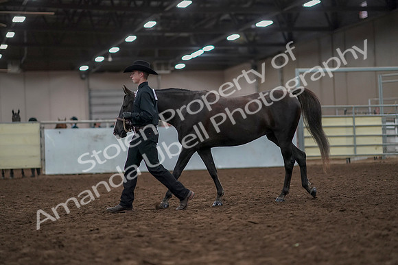 2019 Morgan Horse Show - Aug 31, 2019 - 02035