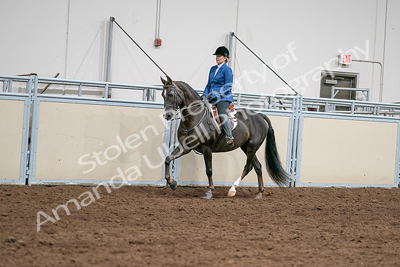 2020 - AB Morgan Horse - Sat, Sept 05 - 04989