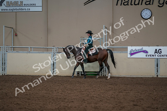 2019 Morgan Horse Show - Aug 30, 2019 - 26041