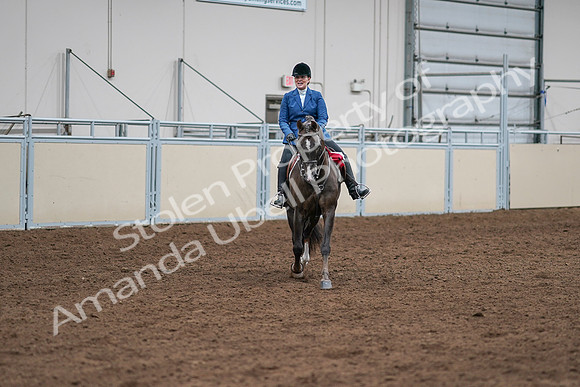 2020 - AB Morgan Horse - Sat, Sept 05 - 05240