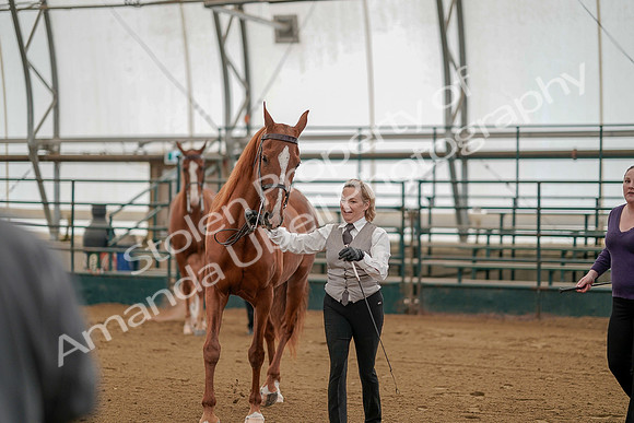 July 19, 2019 - 281