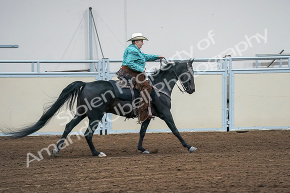 2020 - AB Morgan Horse - Fri, Sept 04 - 00497