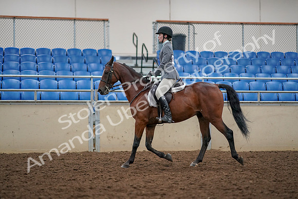 2019 Morgan Horse Show - Aug 30, 2019 - 23371