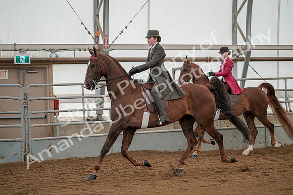 July 20, 2019 - 02212