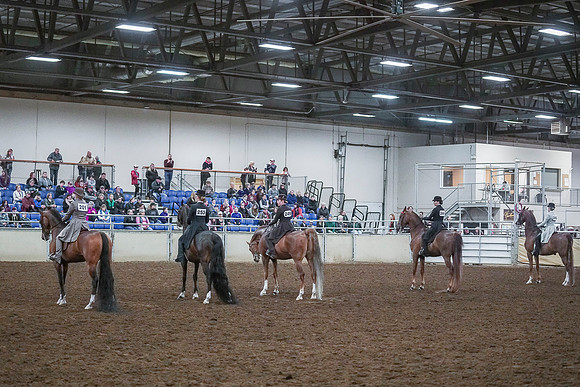 Spring Fling - Saturday - April 20, 2019  -  00590
