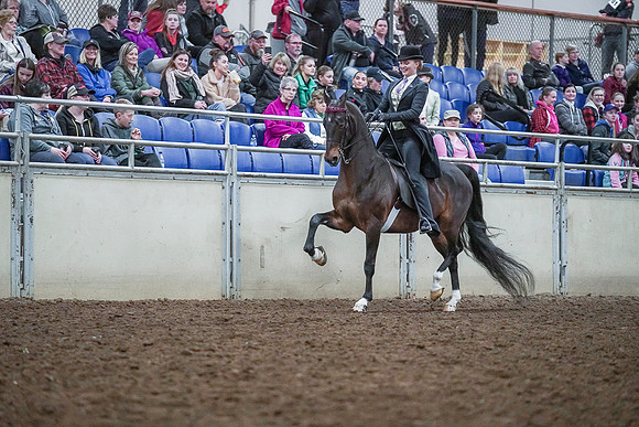 Spring Fling - Saturday - April 20, 2019  -  00478