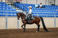 2020 - AB Morgan Horse - Sat, Sept 05 - 08879