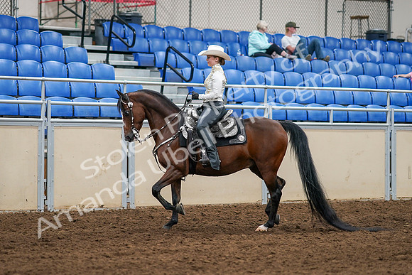 2020 - AB Morgan Horse - Sat, Sept 05 - 08879
