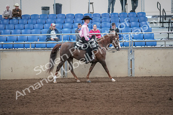 2019 Morgan Horse Show - Sept 01, 2019 - 07173