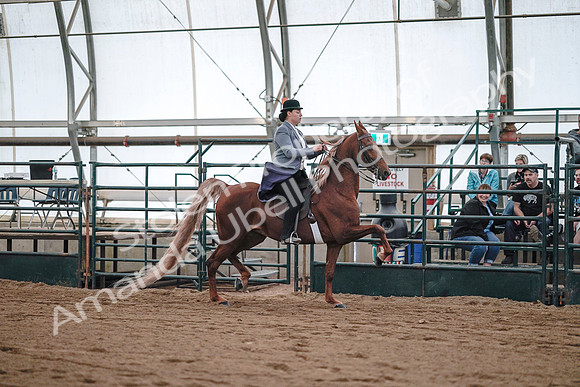 July 20, 2019 - 17134