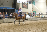 079 - Arabian Ranch Riding Open