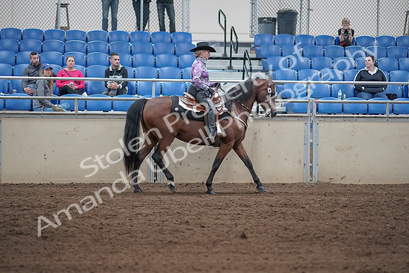2019 Morgan Horse Show - Sept 01, 2019 - 07077