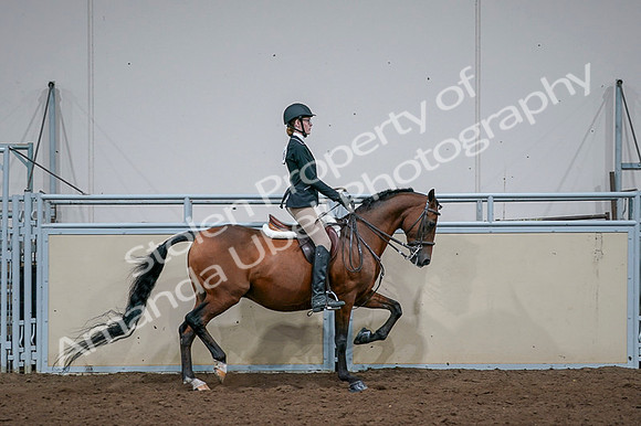2020 - AB Morgan Horse - Fri, Sept 04 - 06027