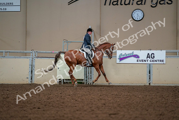 2019 Morgan Horse Show - Aug 30, 2019 - 22562
