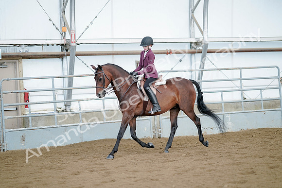 July 21, 2019 - 03238
