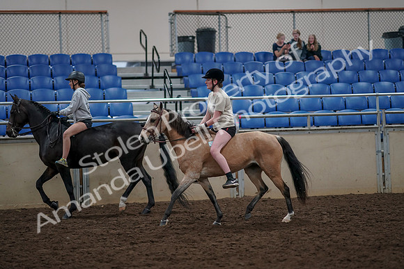 2019 Morgan Horse Show - Aug 30, 2019 - 31223