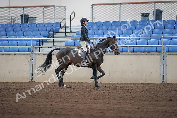 2019 Morgan Horse Show - Sept 01, 2019 - 03821