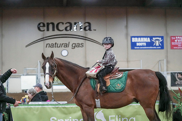 Spring Fling - Saturday - April 20, 2019  -  00189