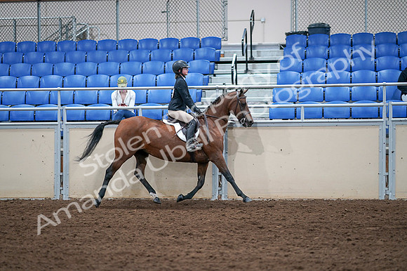 2020 - AB Morgan Horse - Fri, Sept 04 - 02189